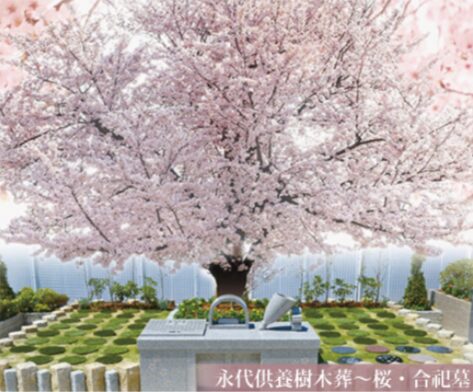 メモリアルパークの画像