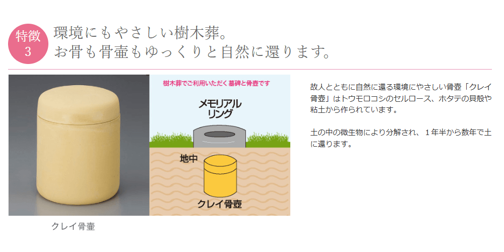 樹木葬さくらの杜の画像